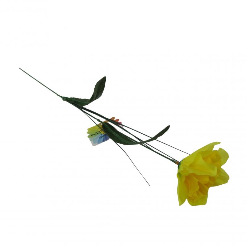 Żonkil 50cm
